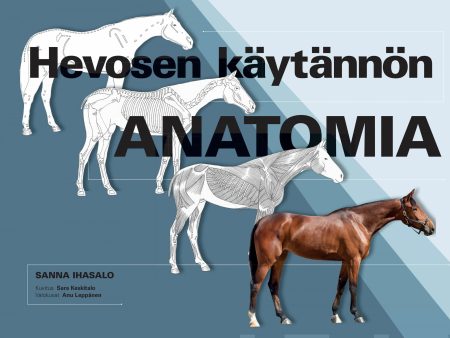 Hevosen käytännön anatomia Cheap