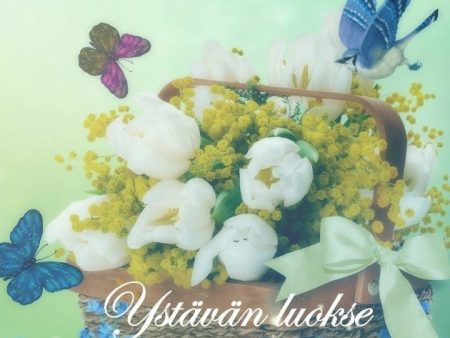 Ystävän luokse Online now